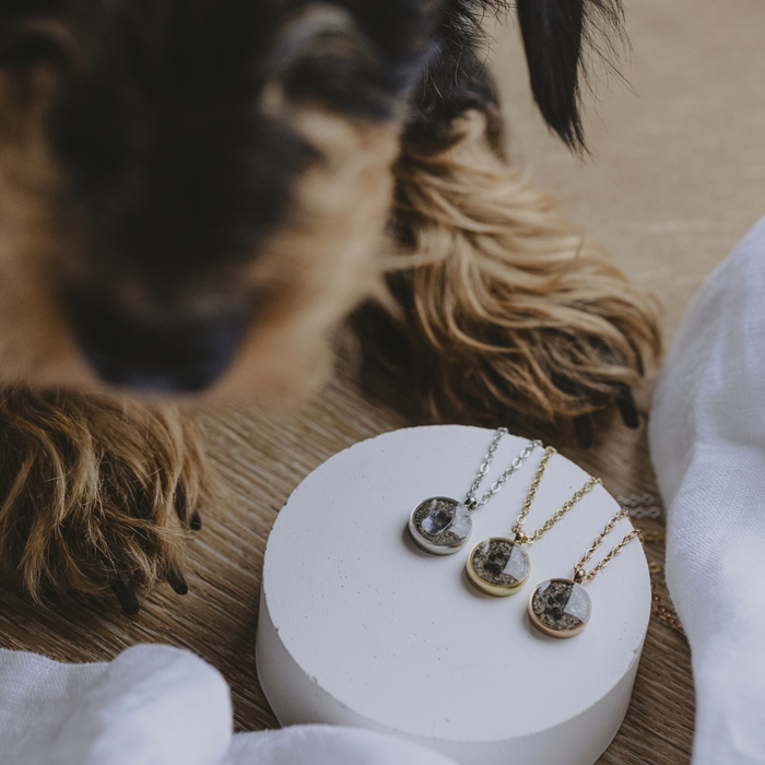 LITTLE PAW - Aschekette mit Pfotenabdruck